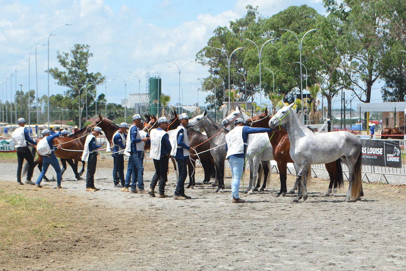 Expofeira 2026 terá oito dias de programação gratuita em Feira de Santana