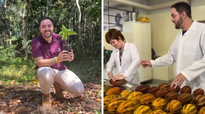 Startup baiana transforma resíduos do cacau em alimentos