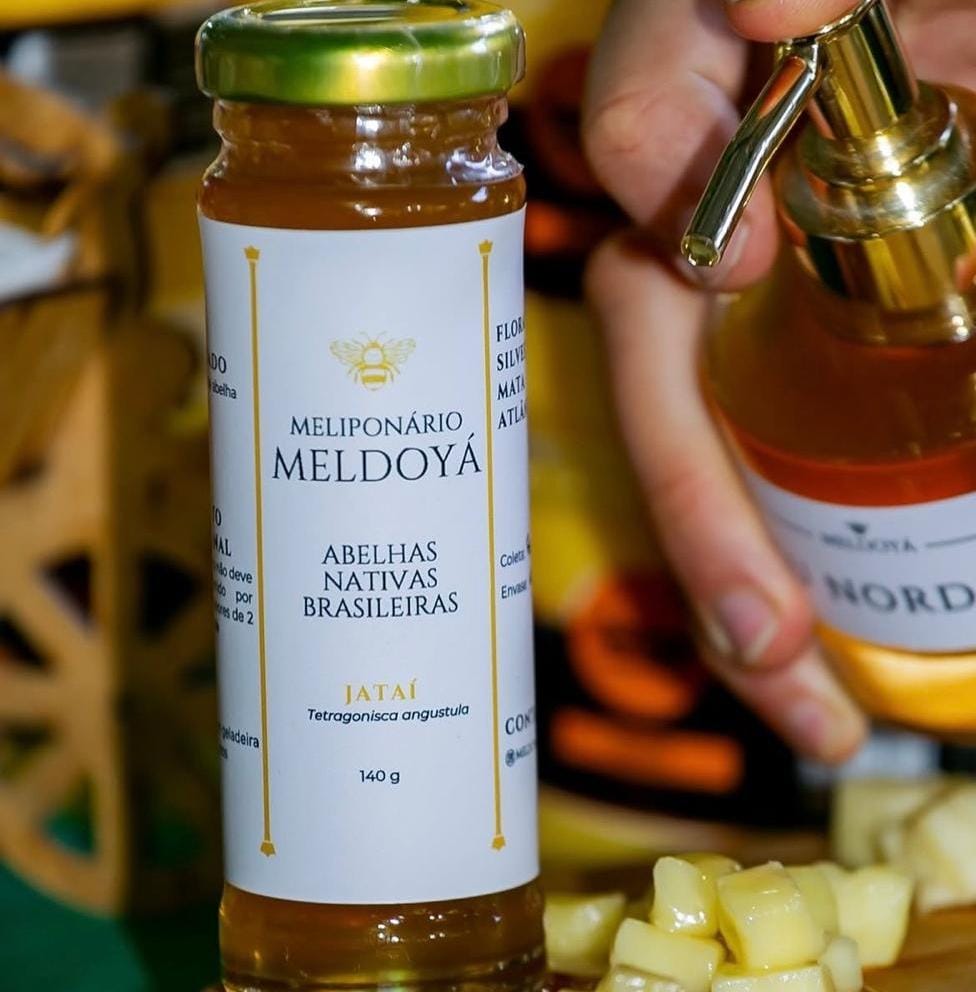 Mel de abelha sem ferrão produzido na Bahia conquista primeiro lugar em concurso nacional